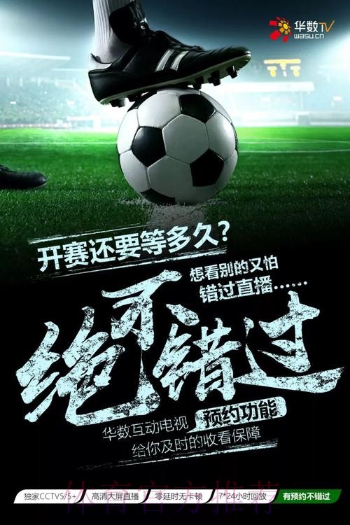 高清直播，铸就世界杯投注极致体验